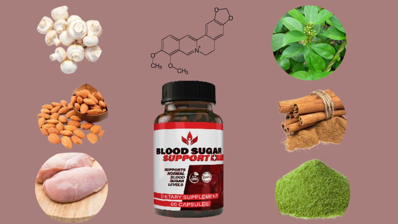Blood Sugar Support Plus blood sugar supplement Facts